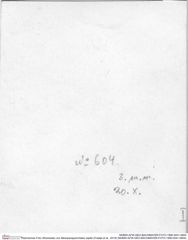 Historisches Foto (Rückseite) von Mesoparapylocheles zapfei (Fraaije et al., 2019) (NHMW-AFW-GEO-BACHMAYER-FOTO-1990-0041-0604)
